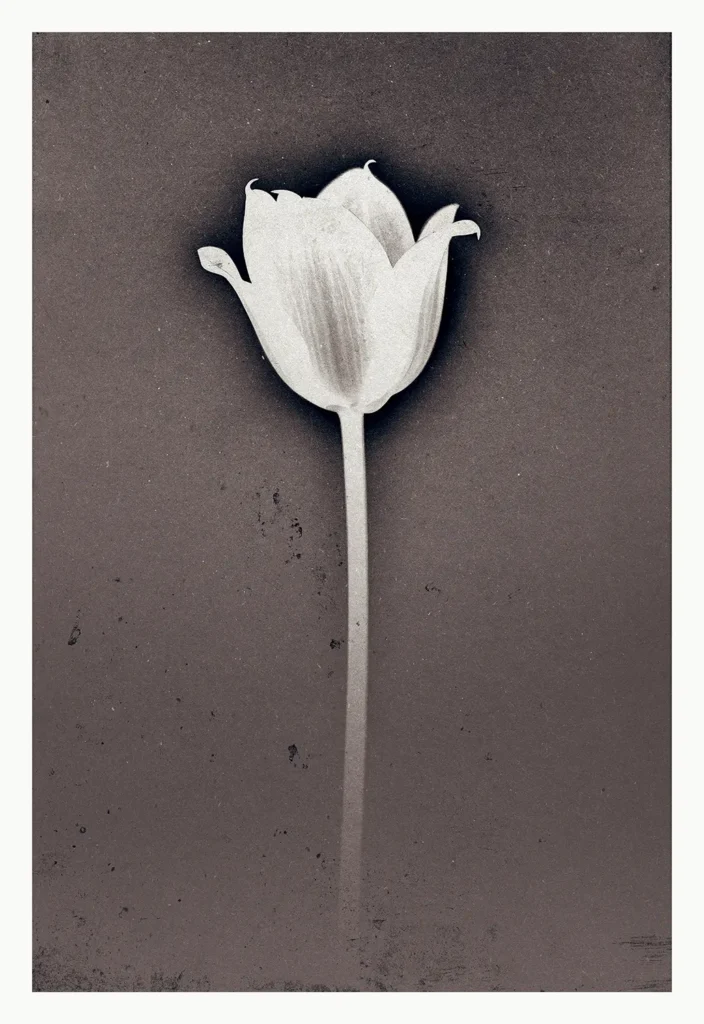 Silence © Sander Steins