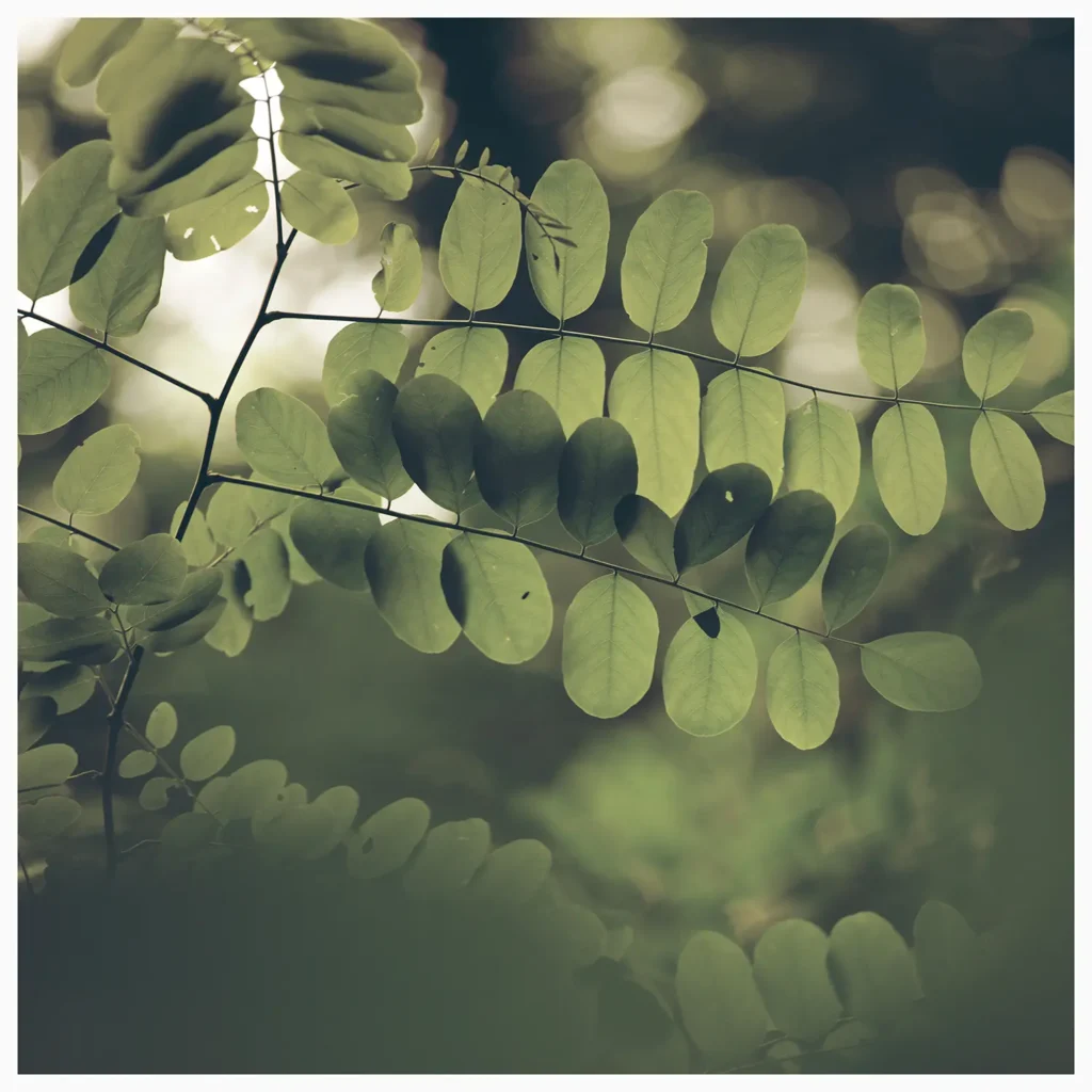 Dark Forest (104 x 104 cm) © Sander Steins