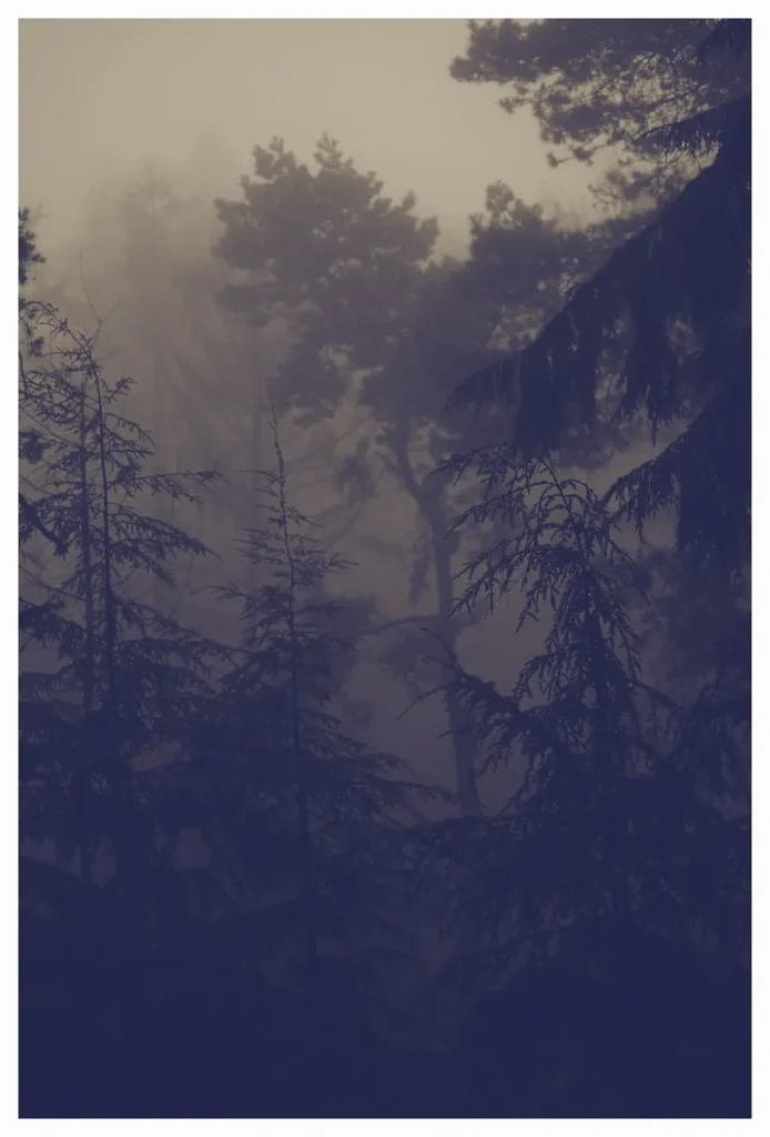 Dark Forest (64 x 94 cm) © Sander Steins