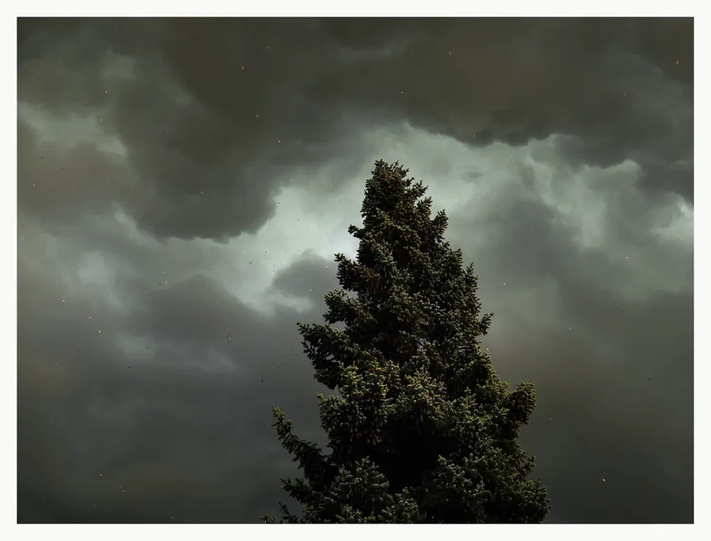 Storm © Sander Steins