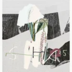 SHB25 © Sander Steins