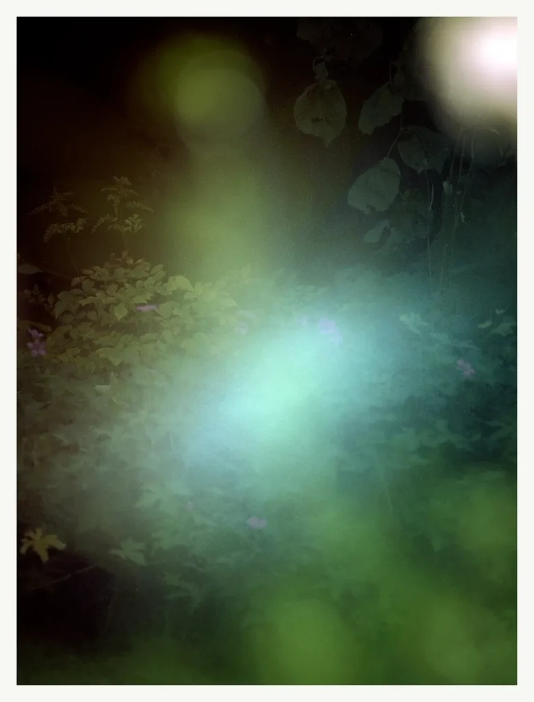 Secret Garden © Sander Steins