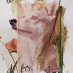 FOX © Sander Steins