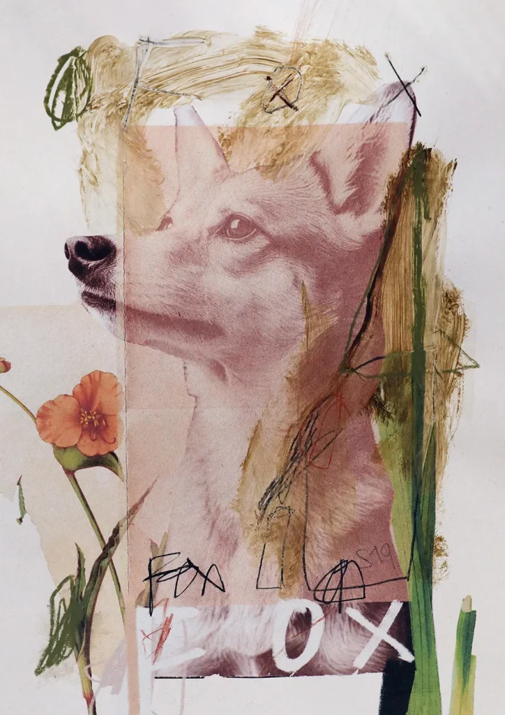 FOX © Sander Steins